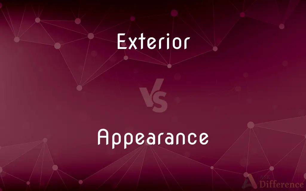 Exterior vs. Appearance — What's the Difference?