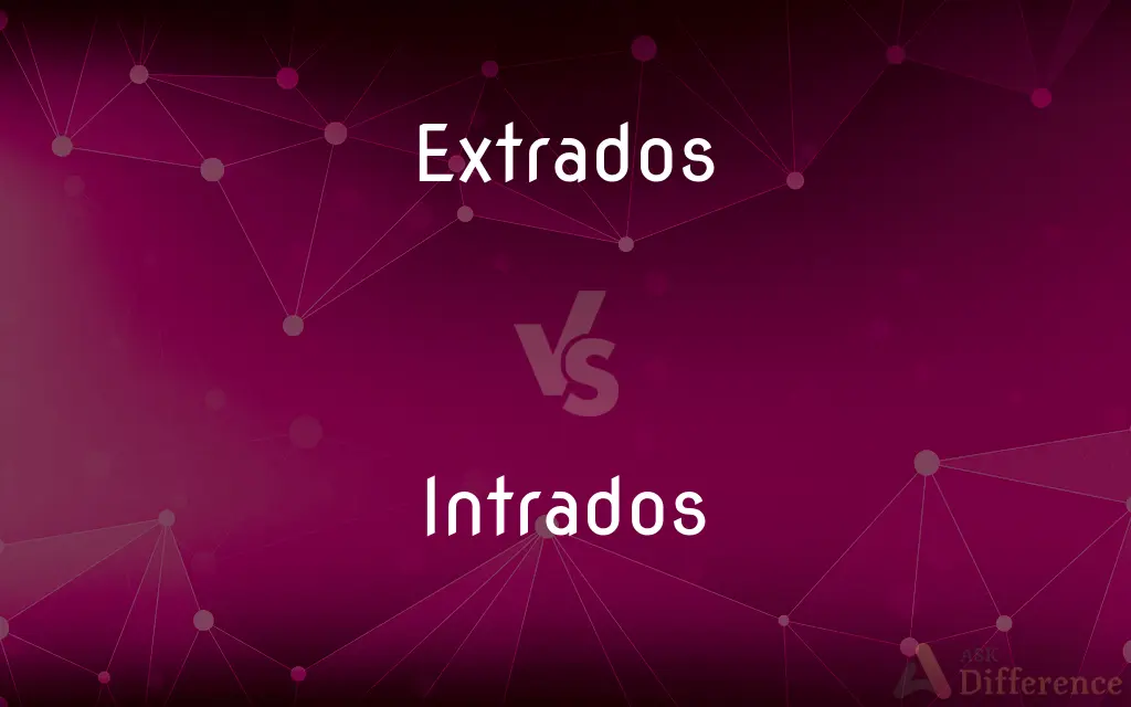 Extrados vs. Intrados — What's the Difference?