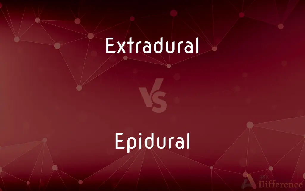 Extradural vs. Epidural — What's the Difference?