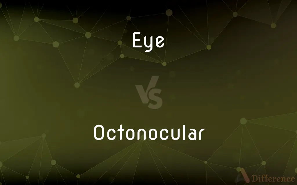 Eye vs. Octonocular — What's the Difference?
