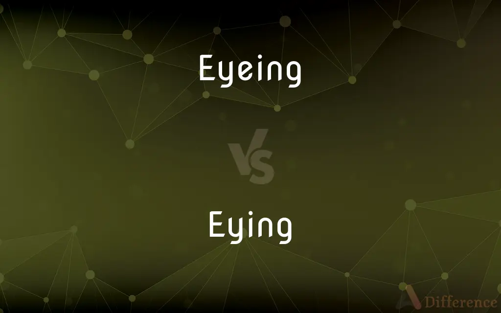 Eyeing vs. Eying — What's the Difference?