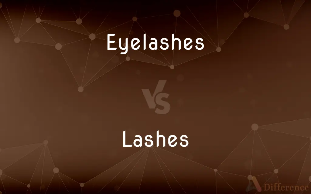 Eyelashes vs. Lashes — What's the Difference?