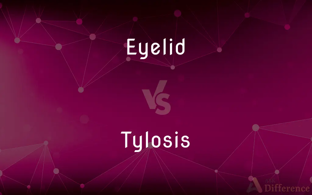 Eyelid vs. Tylosis — What's the Difference?