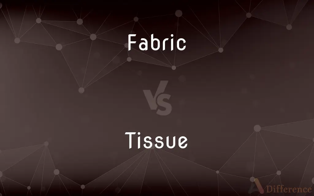Fabric vs. Tissue — What's the Difference?