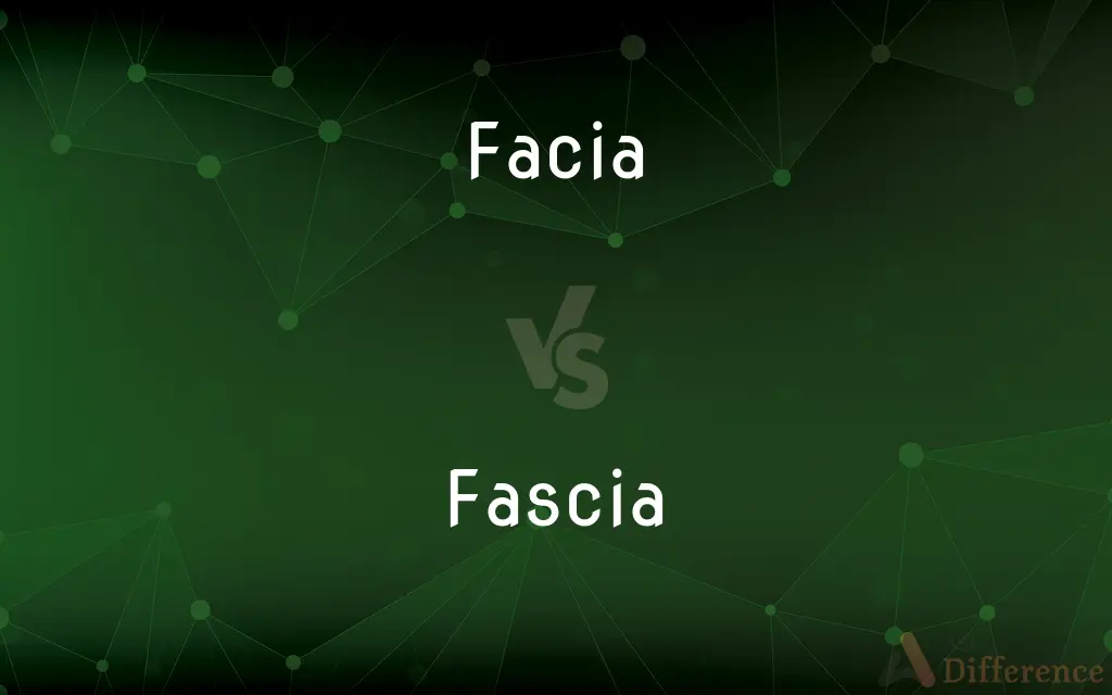 Facia vs. Fascia — Which is Correct Spelling?