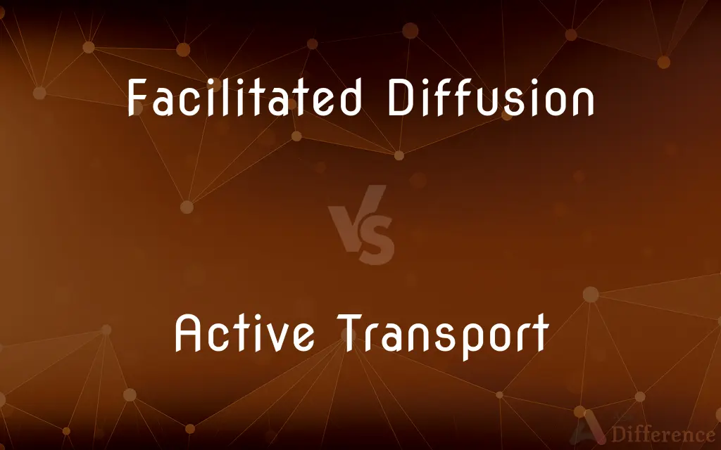 Facilitated Diffusion vs. Active Transport — What's the Difference?