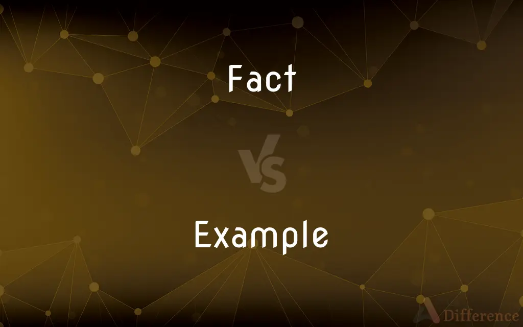 Fact vs. Example — What's the Difference?
