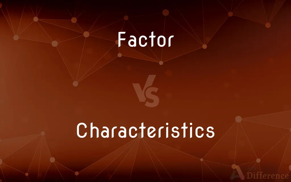 Factor vs. Characteristics — What's the Difference?