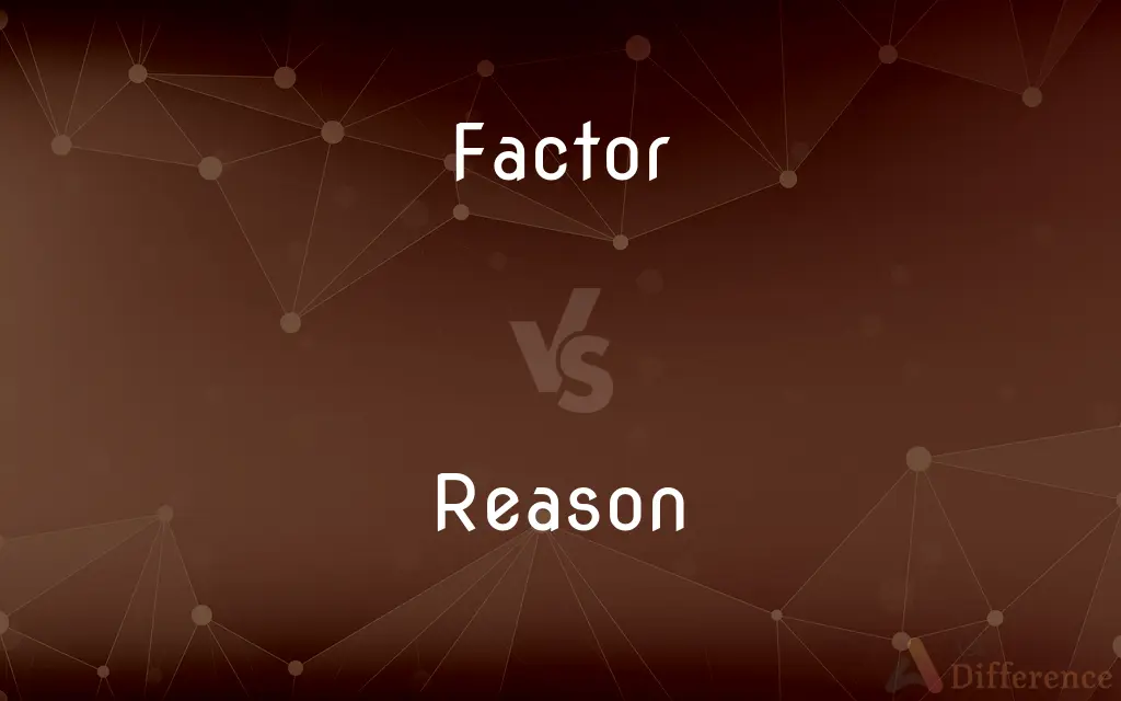 Factor vs. Reason — What's the Difference?
