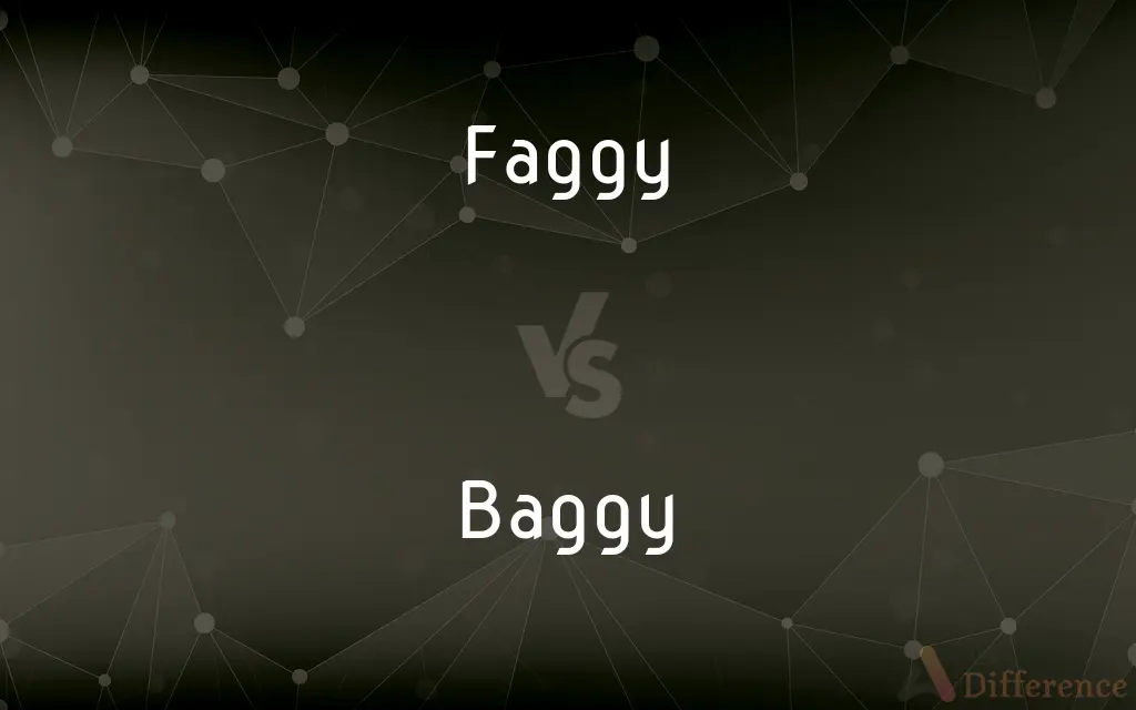 Faggy vs. Baggy — What's the Difference?