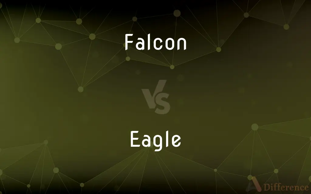 Falcon vs. Eagle — What's the Difference?