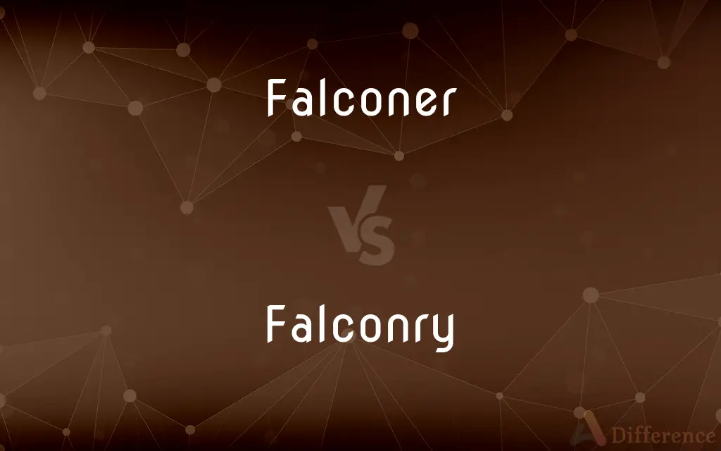 Falconer vs. Falconry — What's the Difference?