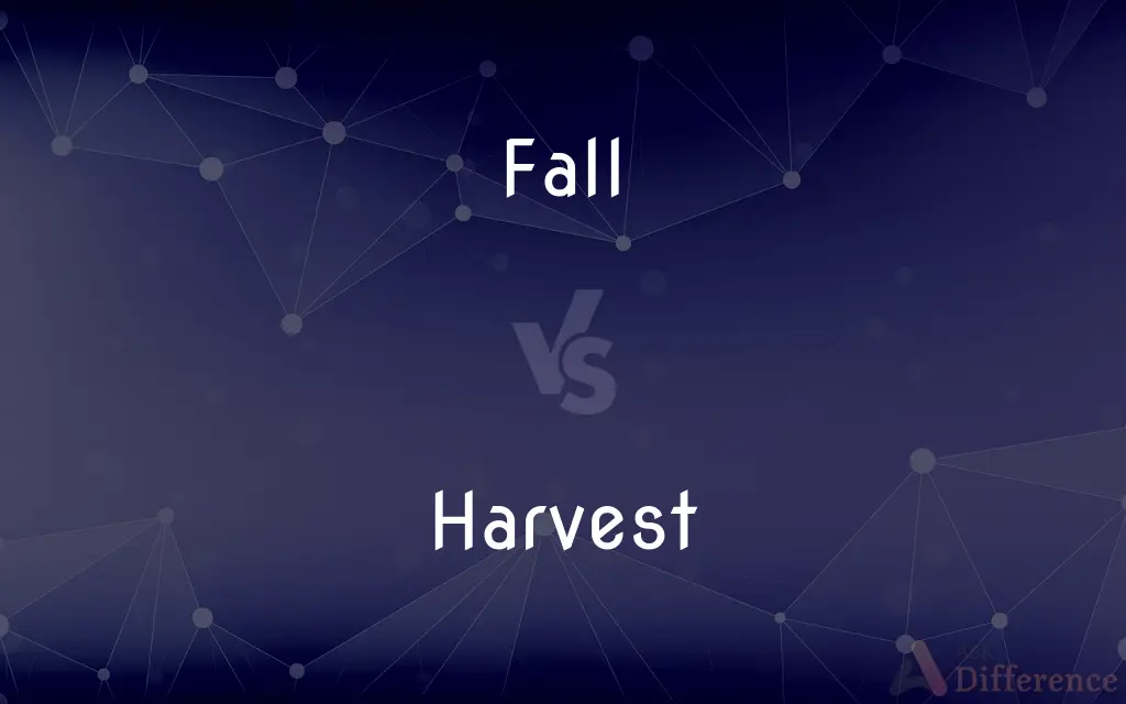 Fall vs. Harvest — What's the Difference?