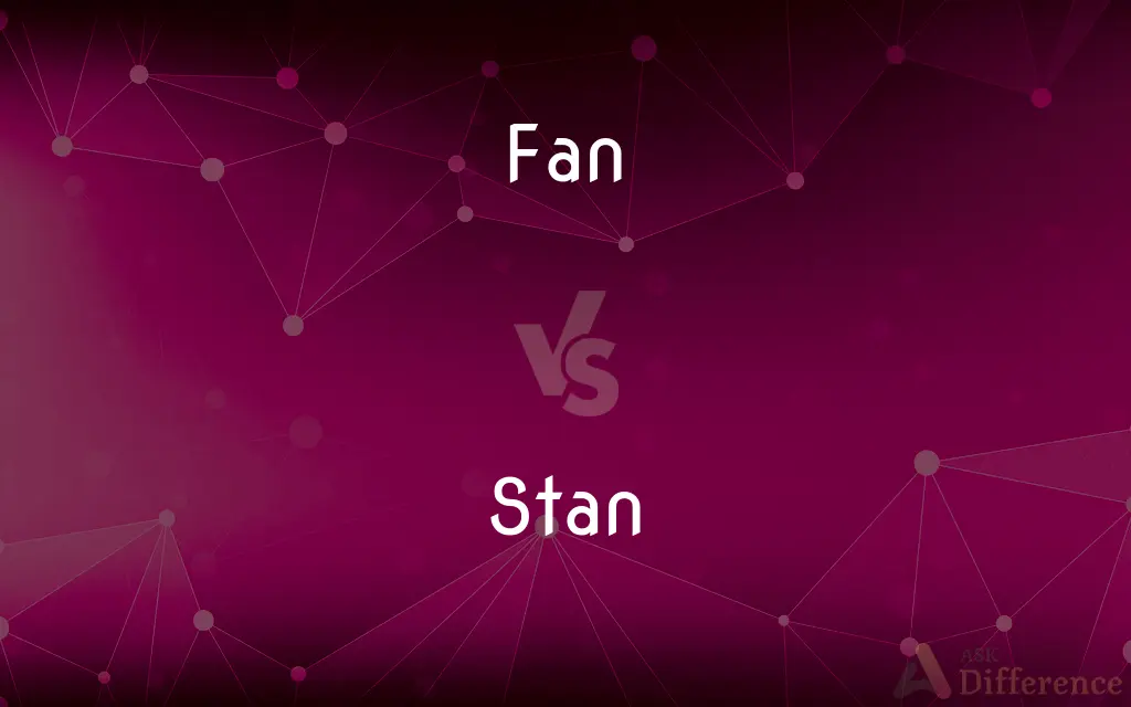 Fan vs. Stan — What's the Difference?