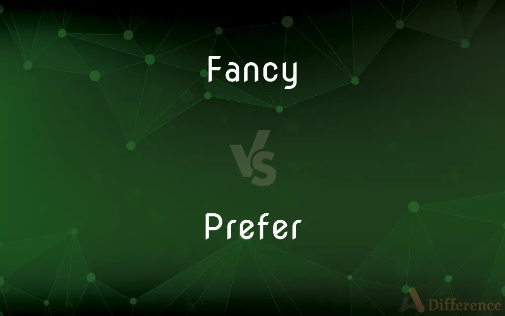 Fancy vs. Prefer — What's the Difference?