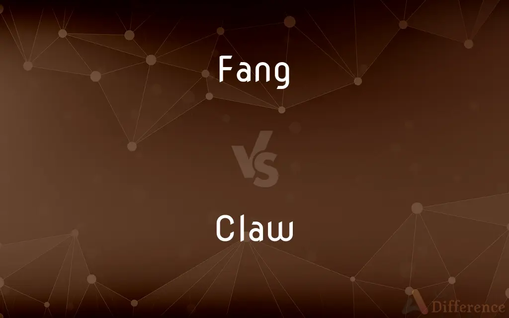 Fang vs. Claw — What's the Difference?