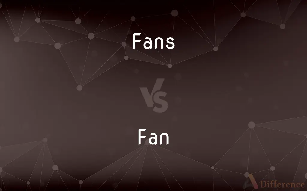 Fans vs. Fan — What's the Difference?