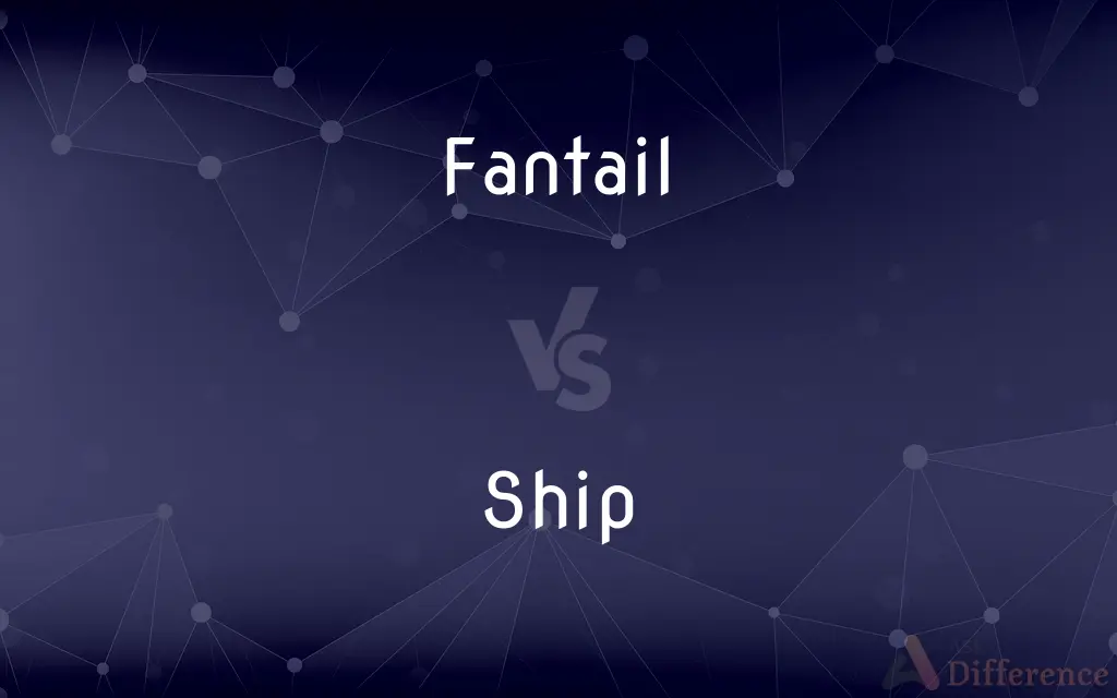 Fantail vs. Ship — What's the Difference?