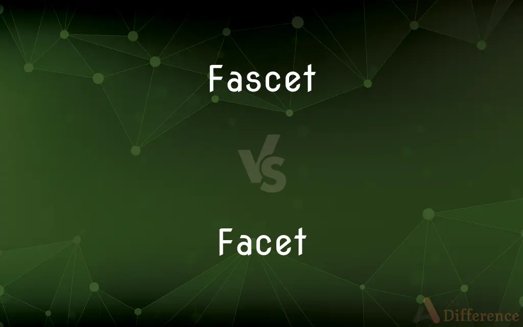 Fascet vs. Facet — What's the Difference?