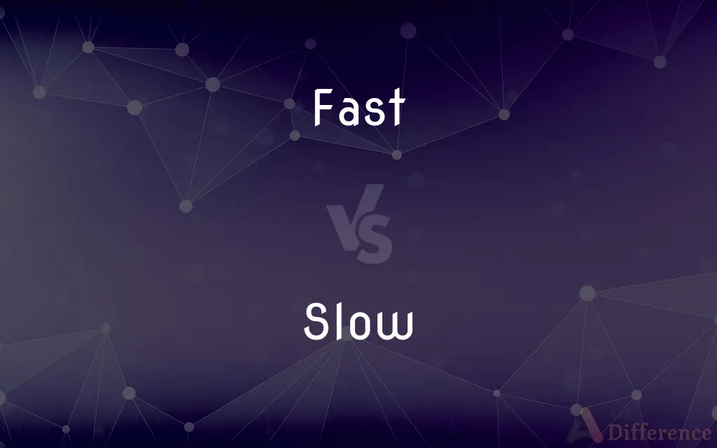 Fast vs. Slow — What's the Difference?