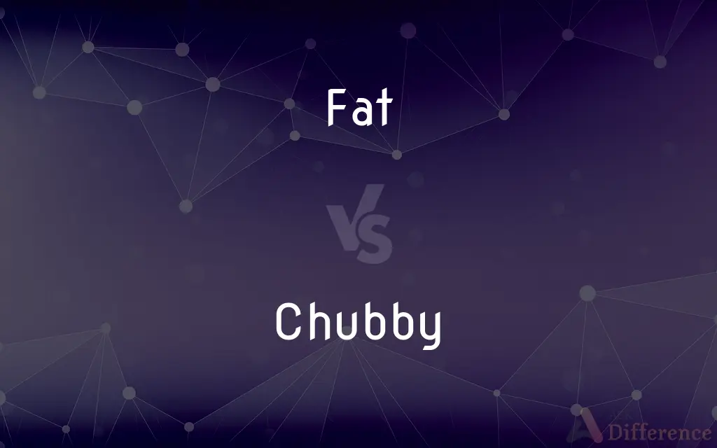 Fat vs. Chubby — What's the Difference?
