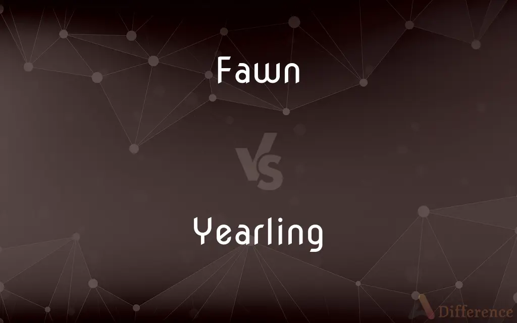 Fawn vs. Yearling — What's the Difference?