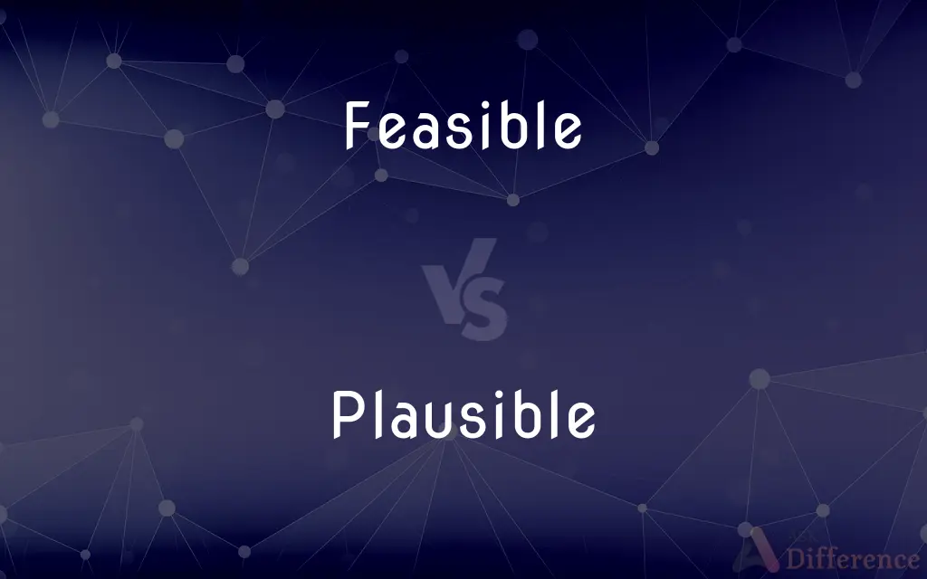 Feasible vs. Plausible