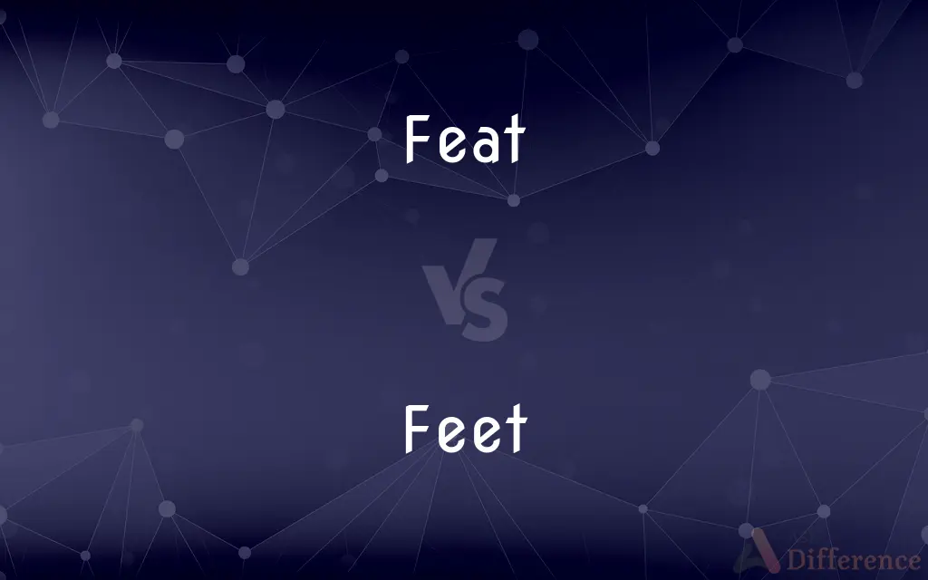Feat vs. Feet — What's the Difference?