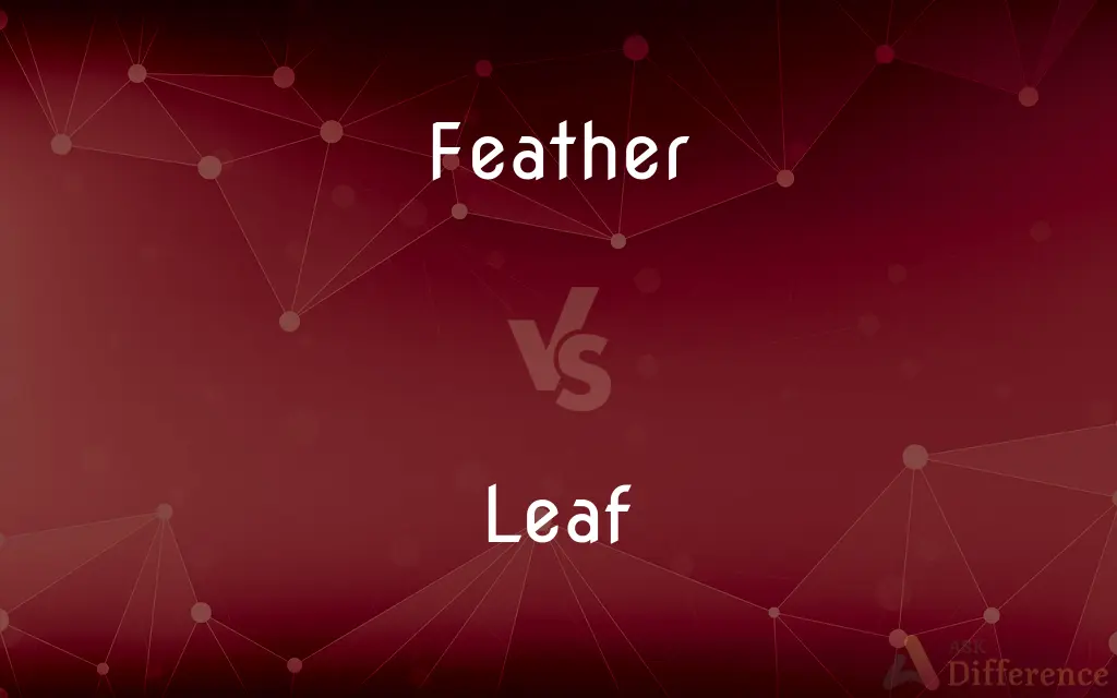 Feather vs. Leaf — What's the Difference?