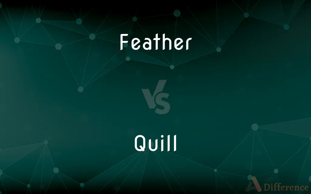 Feather vs. Quill — What's the Difference?