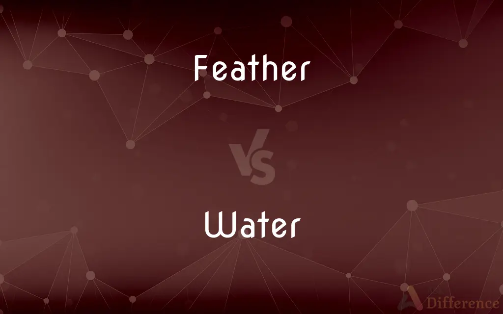 Feather vs. Water — What's the Difference?