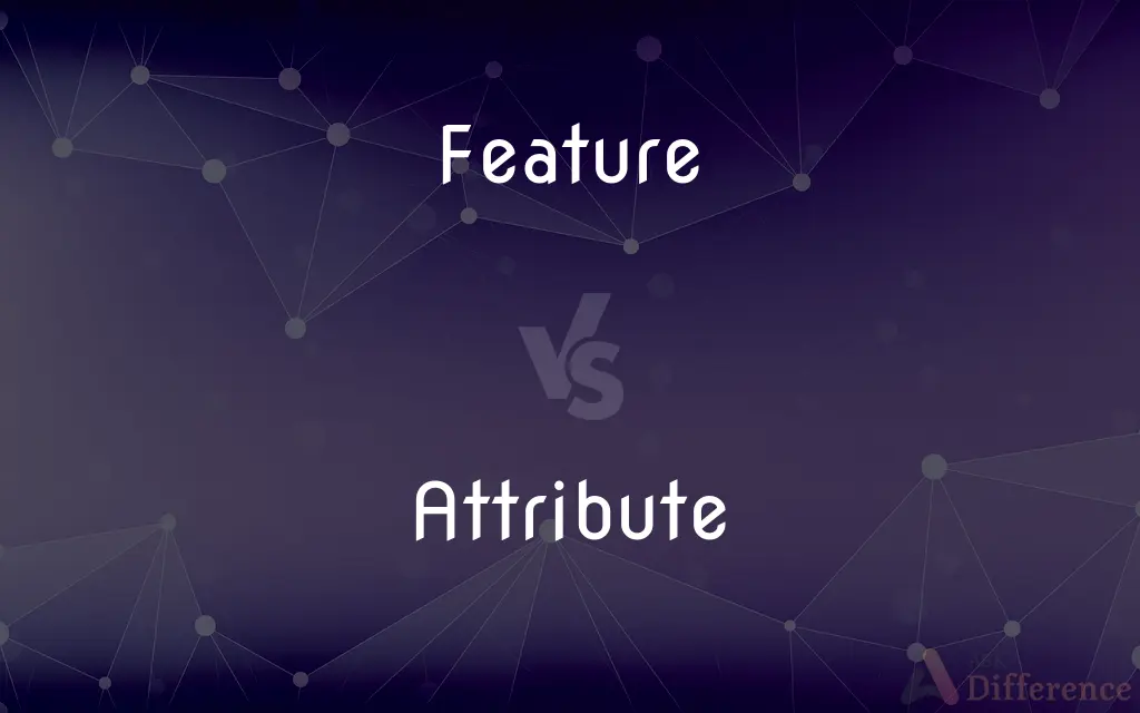 Feature vs. Attribute — What's the Difference?