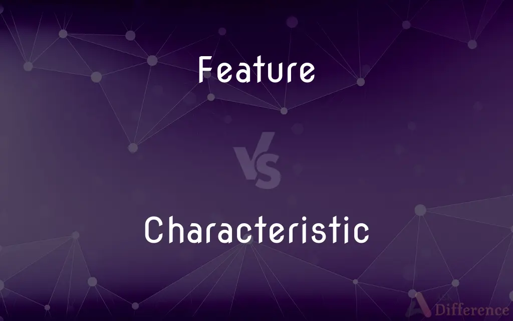 Feature vs. Characteristic — What's the Difference?