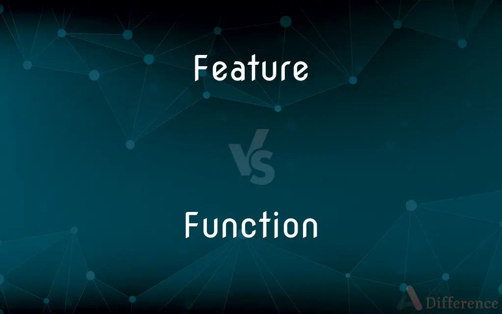 Feature vs. Function — What's the Difference?