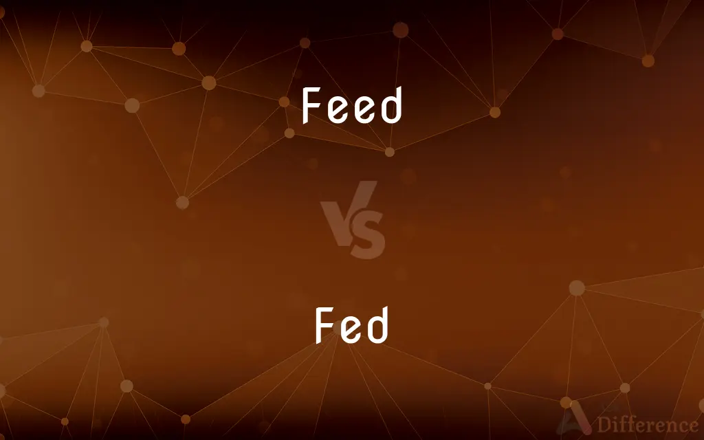 Feed vs. Fed — What's the Difference?