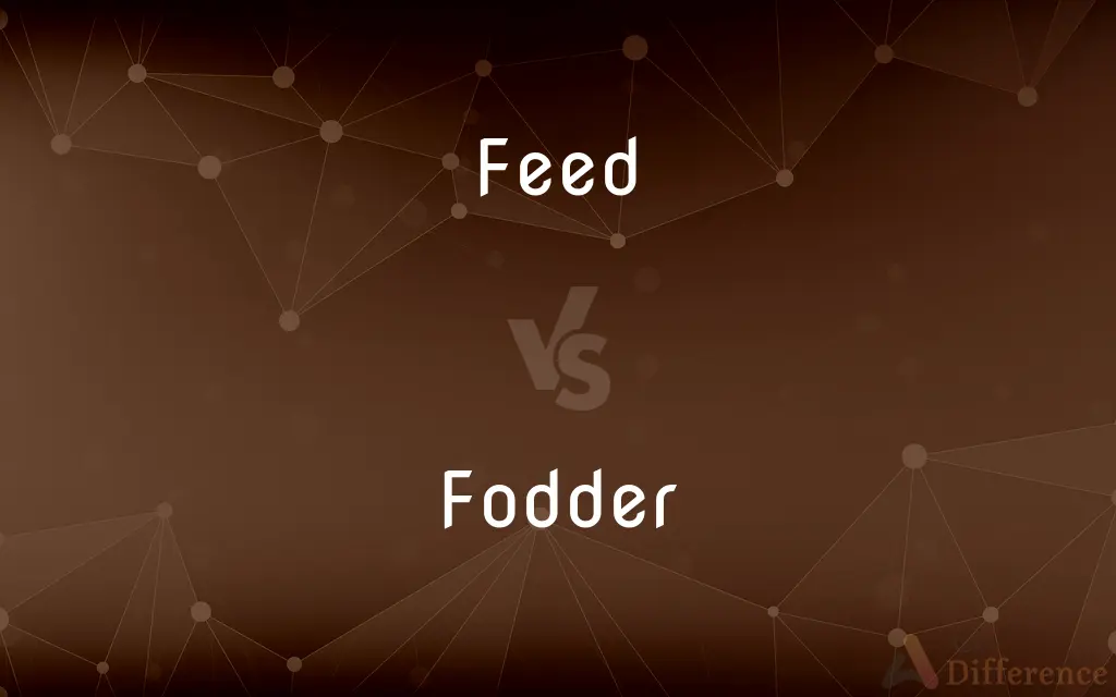 Feed vs. Fodder — What's the Difference?