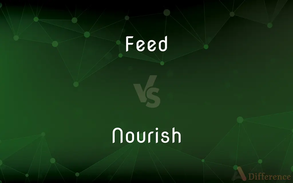 Feed vs. Nourish — What's the Difference?