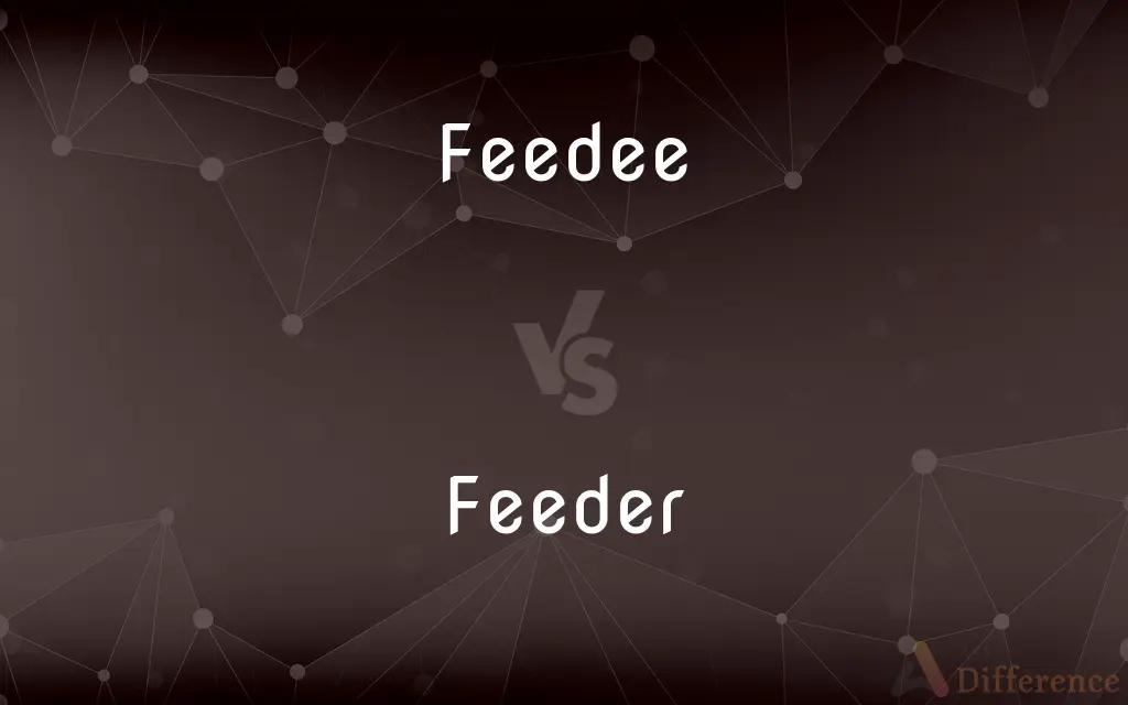 Feedee vs. Feeder — What's the Difference?