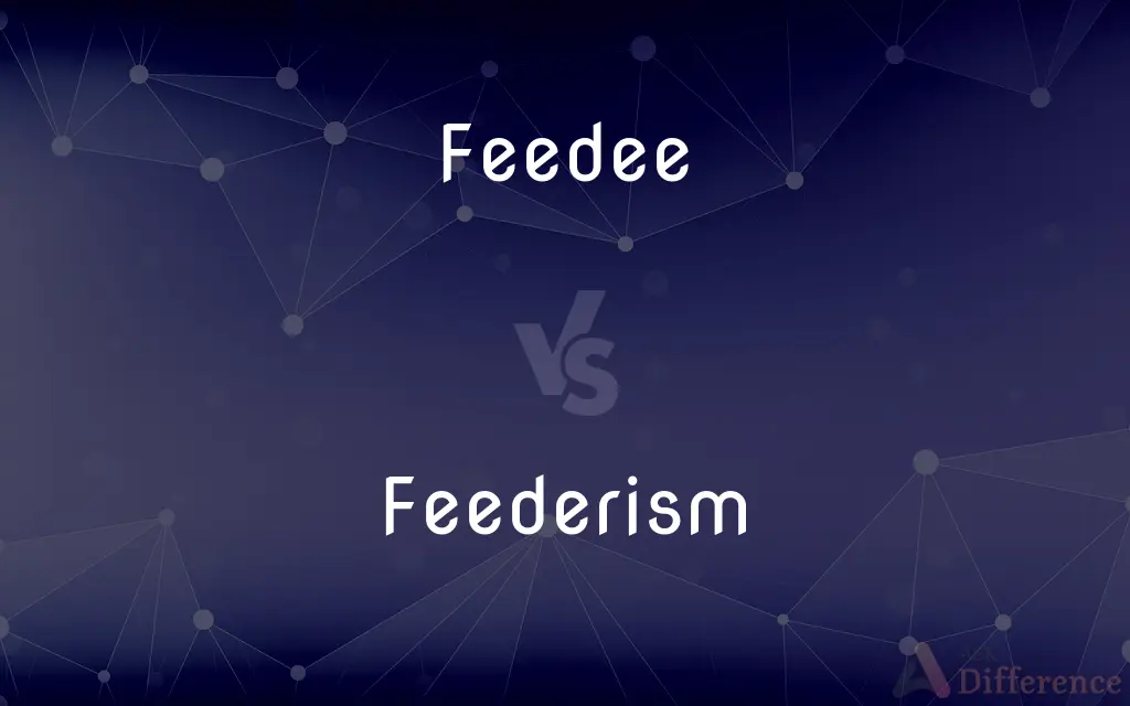 Feedee vs. Feederism — What's the Difference?