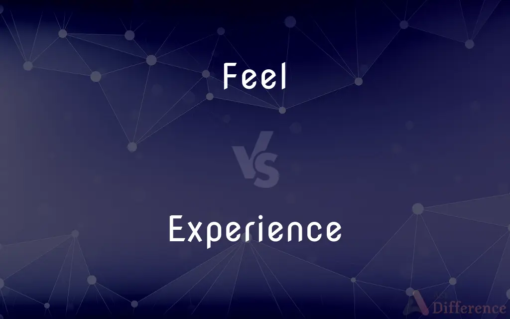 Feel vs. Experience — What's the Difference?
