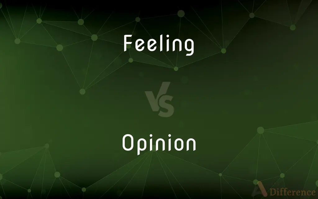 Feeling vs. Opinion — What's the Difference?