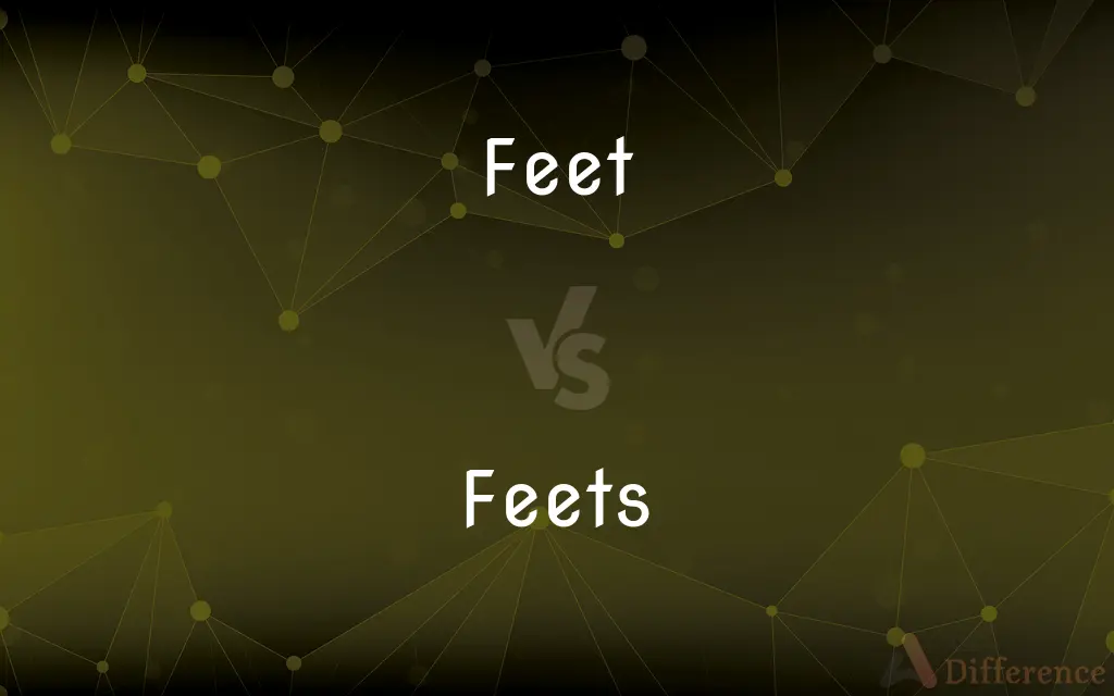 Feet vs. Feets