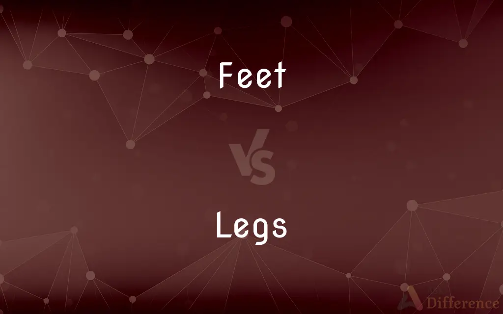 Feet vs. Legs — What's the Difference?