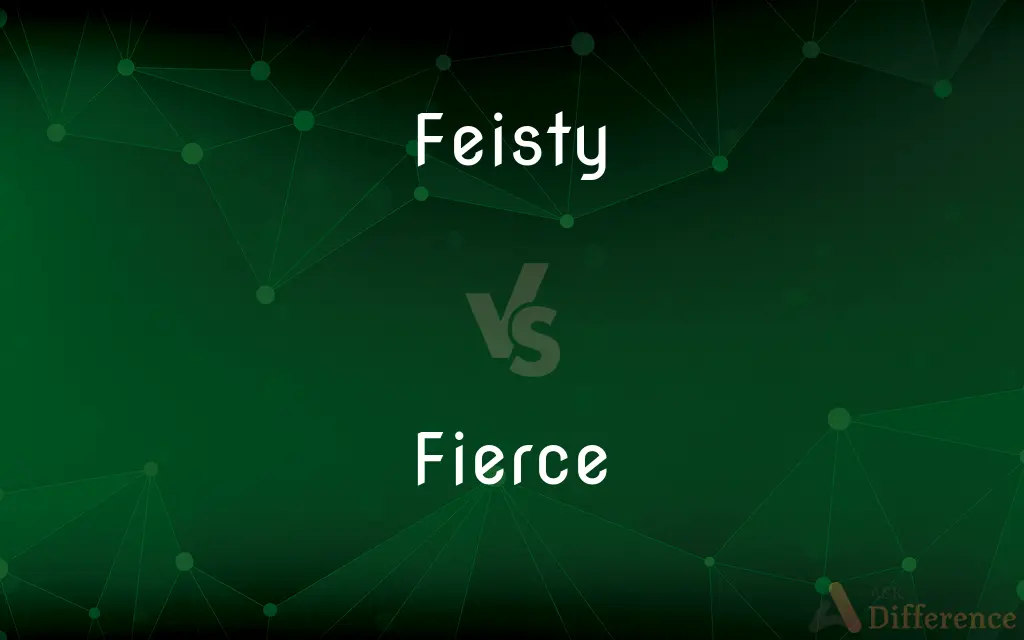 Feisty vs. Fierce — What's the Difference?