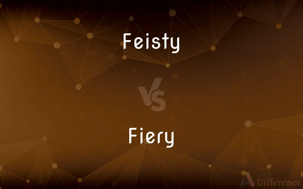 Feisty vs. Fiery — What's the Difference?