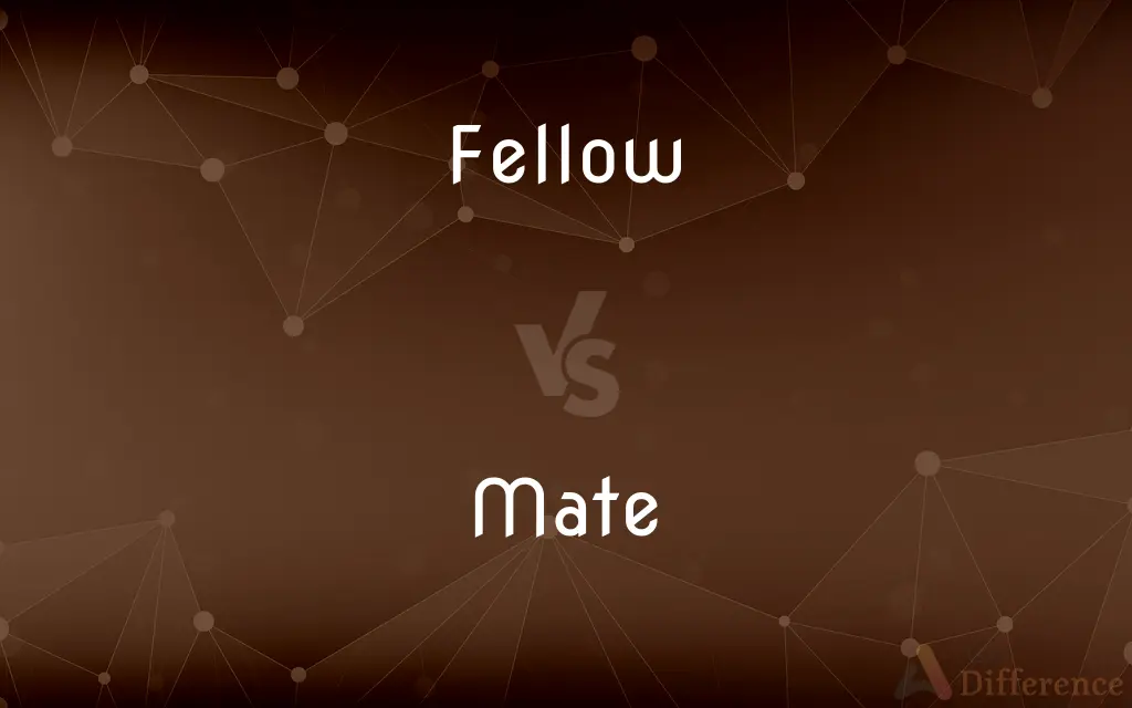 Fellow vs. Mate — What's the Difference?