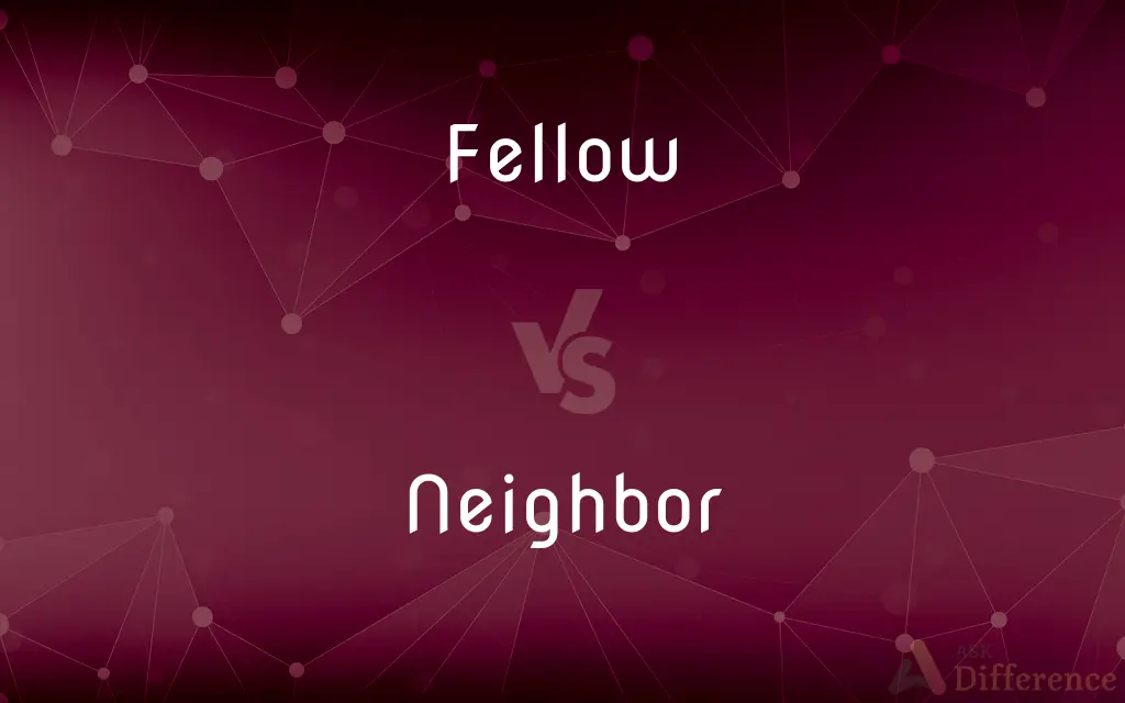 Fellow vs. Neighbor — What's the Difference?