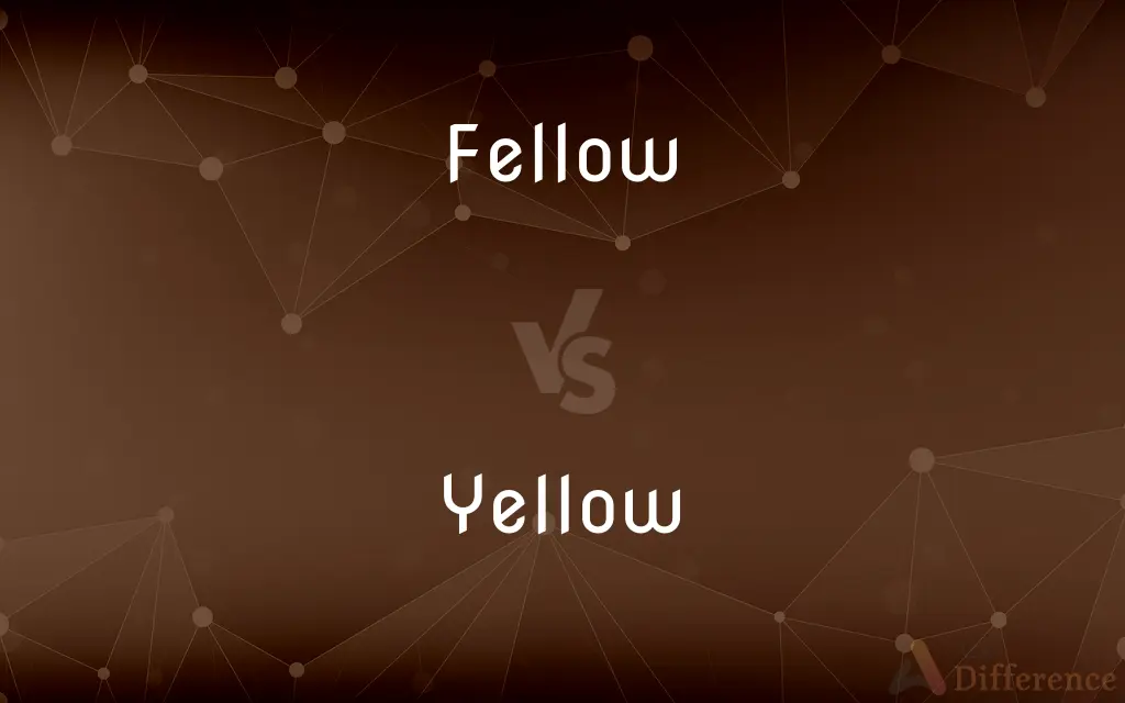 Fellow vs. Yellow — What's the Difference?