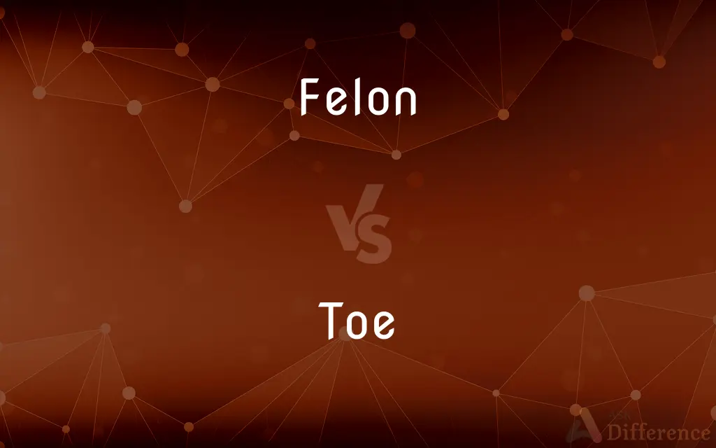 Felon vs. Toe — What's the Difference?