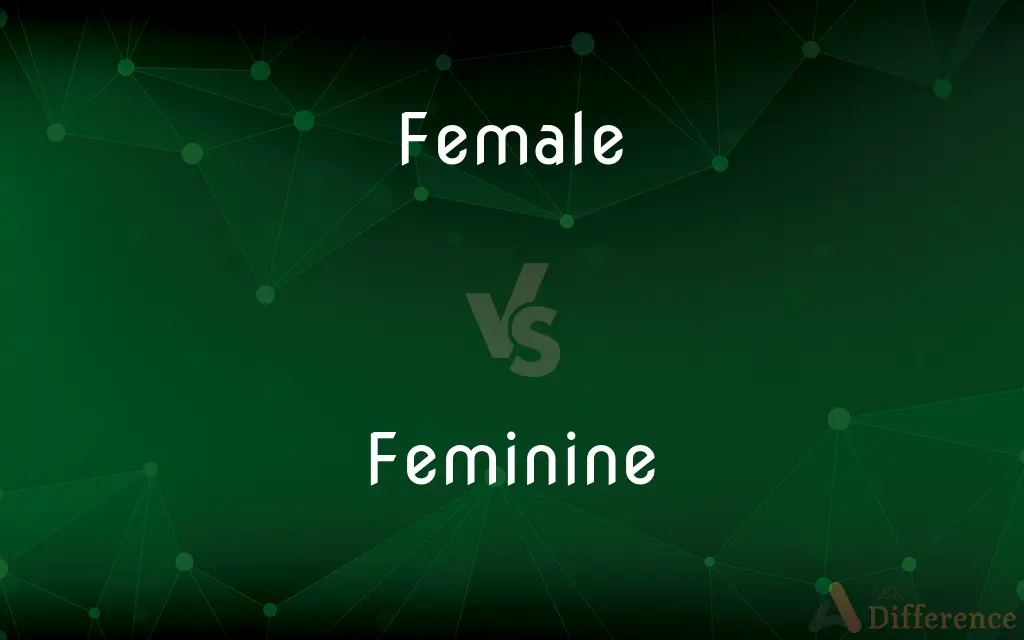 Female vs. Feminine — What's the Difference?